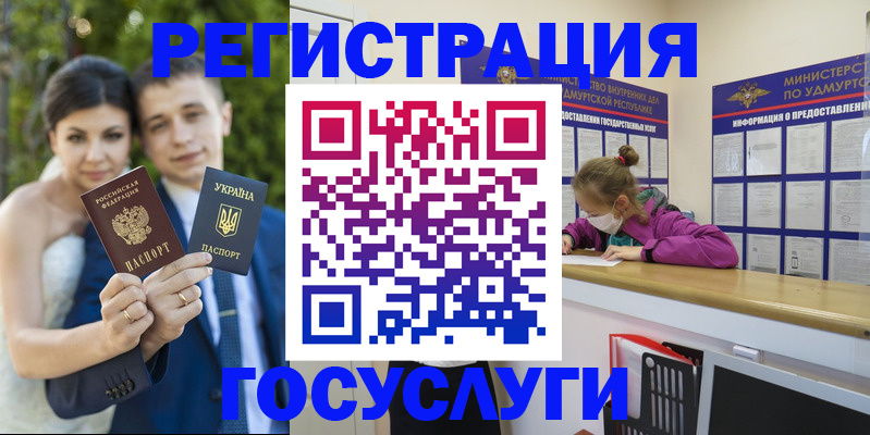 прописка поиск в Гвардейске